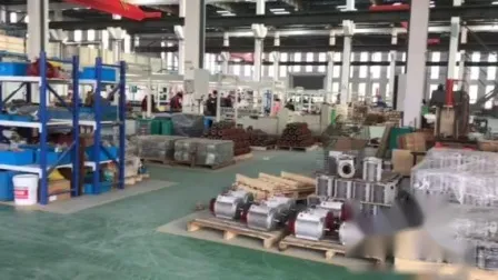 Ye3 Premium High Efficiency Three Phase Induction AC Electric Asynchronous Motor